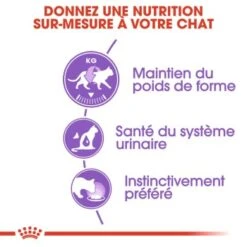 ROYAL CANIN Stérilisé Nourriture Humide Chat 12 X 85 G En Sauce -Meilleure Animalerie b9679061d5add2a1434a7d8b6fa032812f1976f0 50a8e5e6b1895f356a39b7248674dcdb1152ca5d