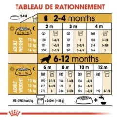 ROYAL CANIN Cocker Chiot Croquettes Chien 3 Kg -Meilleure Animalerie b9ee09e5dce7143f4cd8f7d3a90584f3bc3d96b2 1082912 fr FR occkerpup 6