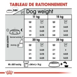 ROYAL CANIN Dental Care Medium Croquettes Chien 3 Kg -Meilleure Animalerie bb21fde1e7dc74158a2328096c72c520c3a83532 1311677 fr FR dentalmed 6