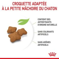 ROYAL CANIN Stérilisé Chaton Croquettes Chat 2 Kg 18 ROYAL CANIN Stérilisé Chaton Croquettes Chat 2 Kg -Meilleure Animalerie bb4eba169ecc3c4007d53fc1c05796697c96bafb 1014711 fr FR kittensteril 14 Kopie