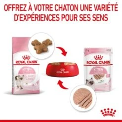 ROYAL CANIN Chaton Nourriture Humide Chat 12 X 85 G Pâté / Terrine / Mousse -Meilleure Animalerie bd664960a3c610e443790f7ebd0a70b0b6cb943b 1378730 fr FR kittenloaf 4