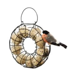 AniOne Distributeur Circulaire De Nourriture Pour Boules De Graisse -Meilleure Animalerie c2d80d34d3a162ef9c3fd1a9f91d8add174e33d5 a376f3fd5db6328c6e1e5100e4b5d61c3b769a25