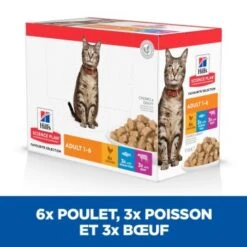 Hill's Science Plan Adulte Poulet, Poisson De Mer Et Bœuf 12x85 G -Meilleure Animalerie c2defe2bb34f4a6a7aef3c6a3dfc1d629d7ddd6c 52742211800 3