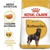 ROYAL CANIN Rottweiler Adulte Croquettes Chien 12 Kg -Meilleure Animalerie c42df3c39fb54e40bbd70c2c81ed8f9815b976ef 1031652 fr FR rottweiler 2
