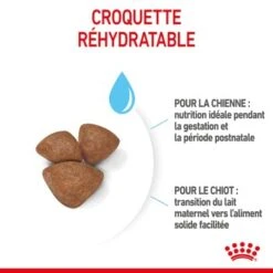 ROYAL CANIN Mini Starter Croquettes Chien 4 Kg 20 ROYAL CANIN Mini Starter Croquettes Chien 4 Kg -Meilleure Animalerie c43626a9153989a9e83d9698ceb58a94e1991a16 1377914 fr FR ministarter 17 Kopie