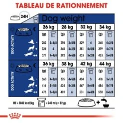 ROYAL CANIN Maxi Ageing 8+ Croquettes Chien 3 Kg 13 ROYAL CANIN Maxi Ageing 8+ Croquettes Chien 3 Kg -Meilleure Animalerie c5b7669b4463ea874483cc8f236d40aaa421660b d1271871cb726279d0e6ef953c2b0eca32b2fabf