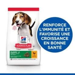 Hill's Science Plan Puppy Medium Au Poulet 14 Kg 14 Hill's Science Plan Puppy Medium Au Poulet 14 Kg -Meilleure Animalerie c986904d22d34af5b4e1815421e4d968f89f7d38 52742025728 3