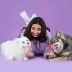 Smoofl Kit De Base XS 13 Smoofl Kit De Base XS -Meilleure Animalerie cae7c717253af7e78c2e64b899fa0eda43e1fcbb 1452836 de DE StarterXSadditional2 1