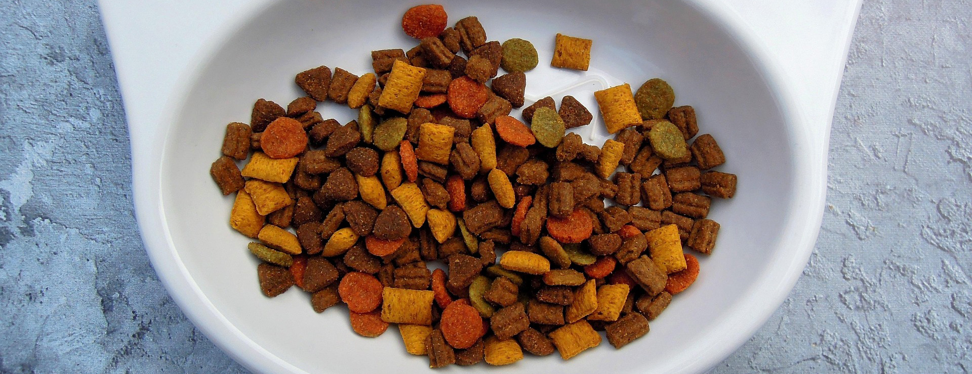 Meilleure Animalerie 3 Meilleure Animalerie -Meilleure Animalerie cat 2170494 1920