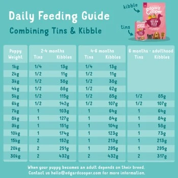 Edgard & Cooper Junior Au Canard & Poulet 6 x 400 g 9 Edgard & Cooper Junior Au Canard & Poulet 6 x 400 g – Image 7