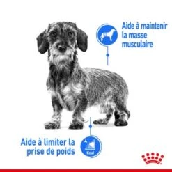 ROYAL CANIN Light Weight Care Nourriture Humide Chien 12 X 85 G -Meilleure Animalerie cd3b88138238af582387544ab78ee26a14beaab4 1317071 fr FR lightwet 3