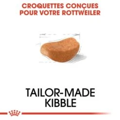 ROYAL CANIN Rottweiler Adulte Croquettes Chien 12 Kg -Meilleure Animalerie d191d34edde7e7c3ea853703c589bff67b5e129a 1031652 fr FR rottweiler 4