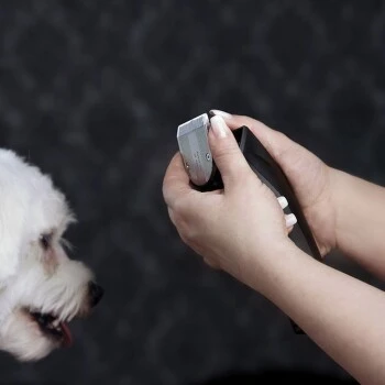 Moser Tondeuse Arco Pro 11 Moser Tondeuse Arco Pro – Image 9