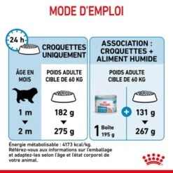 ROYAL CANIN Giant Starter Croquettes Chien 15 kg -Meilleure Animalerie d5dc49d326f04be5dd9125fcfbb8ec6fcfb201ae 1082865 fr FR giantstarter 9