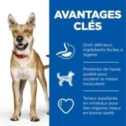 Hill's Science Plan Performance Adult 1+ Avec Du Poulet 14 Kg 13 Hill's Science Plan Performance Adult 1+ Avec Du Poulet 14 Kg -Meilleure Animalerie d6bb3050d7fbe02008215b3fa735ea721d7f35da 52742026114 4