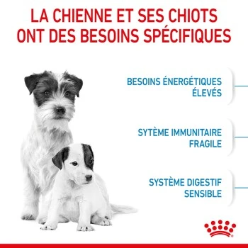 ROYAL CANIN Mini Starter Croquettes Chien 4 Kg 8 ROYAL CANIN Mini Starter Croquettes Chien 4 Kg – Image 6
