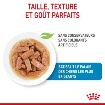 ROYAL CANIN Maxi Chiot Nourriture Humide Chien 10 X 140 G 8 ROYAL CANIN Maxi Chiot Nourriture Humide Chien 10 X 140 G – Image 6