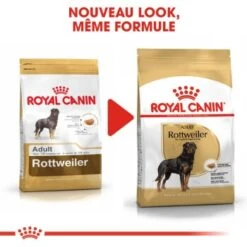 ROYAL CANIN Rottweiler Adulte Croquettes Chien 12 Kg -Meilleure Animalerie da41c0cdaa2b28f429052c1be91daa77958df51f 1031652 fr FR rottweiler 6