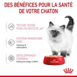 ROYAL CANIN Chaton Nourriture Humide Chat 12 X 85 G Pâté / Terrine / Mousse -Meilleure Animalerie dd68a0cdcfcd9c87bb35ec2f5e6c3960f3b07d1a 1378730 fr FR kittenloaf 3