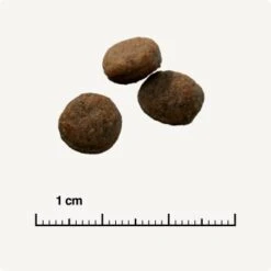 SELECT GOLD Sensitive Junior Medium Agneau/saumon/pommes De Terre 1 Kg 12 SELECT GOLD Sensitive Junior Medium Agneau/saumon/pommes De Terre 1 Kg -Meilleure Animalerie de907b23be5f64ef3cbc8395456c2b36223d85a8 1001718002 de DE 6