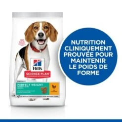 Hill's Science Plan Perfect Weight Adult Medium Poulet 12 Kg -Meilleure Animalerie dfba65c8abc8b792e2fb33d8b55030cd196cff47 52742025216 3