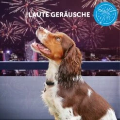 ADAPTIL Collier Calm M-L -Meilleure Animalerie e065c94a1eadac38177e4f3120e975f32282355e 1204441 10