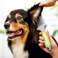 Moser Brosse Souple - Double Face -Meilleure Animalerie e2e31ce1b9db25ecc348a2d85aadccc0bd154c07 92508ef434f51f38c9229172dc6a302f9d8bf899