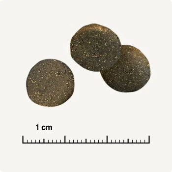 REAL NATURE WILDERNESS Adulte Pure Duck 12 Kg 8 REAL NATURE WILDERNESS Adulte Pure Duck 12 Kg – Image 6