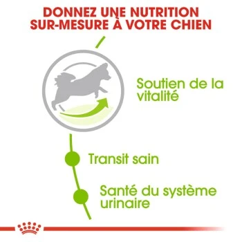 ROYAL CANIN X-Small 8+ Croquettes Chien 1,5 Kg 4 ROYAL CANIN X-Small 8+ Croquettes Chien 1,5 Kg – Image 2