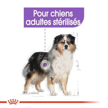 ROYAL CANIN Sterilised Medium 3 Kg 7 ROYAL CANIN Sterilised Medium 3 Kg – Image 5