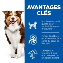 Hill's Science Plan Mature Adult Chien âgé Poulet 14 Kg -Meilleure Animalerie e648ab50c7f8b1917f330cdb0f6ea4adc2830211 52742026176 4