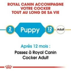 ROYAL CANIN Cocker Chiot Croquettes Chien 3 Kg -Meilleure Animalerie e8b9ada5451f6a1db747b278a8b19faef19ac687 1082912 fr FR occkerpup 2