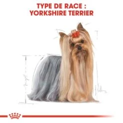 ROYAL CANIN Yorkshire Terrier Nourriture Humide Chien 12 X 85 G 14 ROYAL CANIN Yorkshire Terrier Nourriture Humide Chien 12 X 85 G -Meilleure Animalerie e91fe93f01ef547cf84237a9669af49099568889 1239182 fr FR yorkiewet 3