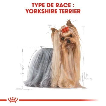 ROYAL CANIN Yorkshire Terrier Nourriture Humide Chien 12 X 85 G 7 ROYAL CANIN Yorkshire Terrier Nourriture Humide Chien 12 X 85 G – Image 5