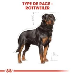 ROYAL CANIN Rottweiler Adulte Croquettes Chien 12 Kg -Meilleure Animalerie e9f46e33ed24530f42948f9815983e1807a8b976 1031652 fr FR rottweiler 3