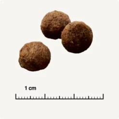 SELECT GOLD Sensitive Mini Adult Canard & Pommes De Terre 1 Kg 12 SELECT GOLD Sensitive Mini Adult Canard & Pommes De Terre 1 Kg -Meilleure Animalerie ebe88b0634bfd87785d8476a981961f7b9134498 1001743012 de DE 6