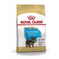 ROYAL CANIN Yorkshire Terrier Chiot Croquettes Chien 1,5 Kg -Meilleure Animalerie ee0b486828e6f33386b78c37ca8e0b9fa2659a74 1031761 fr FR yorkiepup 1