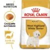 ROYAL CANIN West Highland White Terrier Adulte Croquettes Chien 1,5 Kg -Meilleure Animalerie ee532641ab8a81d289ee41fca40873c43a84a9ad b0c5a78597d2799d7dae41349bff0c9082c2f189