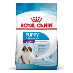 ROYAL CANIN Giant Chiot Croquettes Chien 3,5 Kg -Meilleure Animalerie ef6c275387c356195fb6d66398f6e360a1db6dcb 1278345 fr FR puppygiant 10