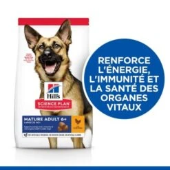 Hill's Science Plan Mature Adult Grand Chien âgé Au Poulet 14 Kg -Meilleure Animalerie f278c5da41bf7f7cef1680d6b41b9897a0e0ffe5 52742025926 3