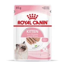 ROYAL CANIN Chaton Nourriture Humide Chat 12 X 85 G Pâté / Terrine / Mousse -Meilleure Animalerie f2a05e0b7b1c1b487026031e243efbd5245e546f 1378730 fr FR kittenloaf 10