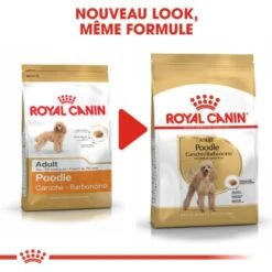 ROYAL CANIN Caniche Adulte Croquettes Chien 1,5 Kg -Meilleure Animalerie f3c50600a0535dacfbf8c082484d93f53e0c52ed 1031762 fr FR poodle 2 Kopie