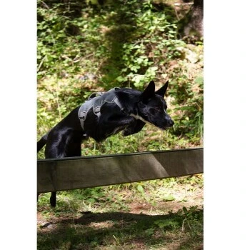 Ruffwear Harnais Webmaster De Gris S 4 Ruffwear Harnais Webmaster De Gris S – Image 2