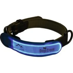 Dogs Creek Autocollant Lumineux Velcro Kuma Bleu/turquoise -Meilleure Animalerie f5f4847c899a7fa1d5d265e46c0862abf6bc01ce 25b0fa469c1b9a7488886df621741a68fcc9df2a