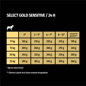 SELECT GOLD Sensitive Junior Medium Agneau/saumon/pommes De Terre 1 Kg 8 SELECT GOLD Sensitive Junior Medium Agneau/saumon/pommes De Terre 1 Kg – Image 6