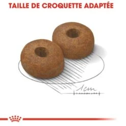 ROYAL CANIN Maxi Ageing 8+ Croquettes Chien 3 Kg 15 ROYAL CANIN Maxi Ageing 8+ Croquettes Chien 3 Kg -Meilleure Animalerie f85820c0ad36f5f9d001883cb2d3713b5286791f e09454aa2b3e087ffe512a8abc3a9685d78a6a38