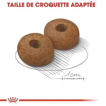 ROYAL CANIN Maxi Ageing 8+ Croquettes Chien 3 Kg 8 ROYAL CANIN Maxi Ageing 8+ Croquettes Chien 3 Kg – Image 6