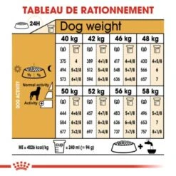 ROYAL CANIN Rottweiler Adulte Croquettes Chien 12 Kg -Meilleure Animalerie f9e504653a7a8f3b28c49e23150471053a93b00e 1031652 fr FR rottweiler 7