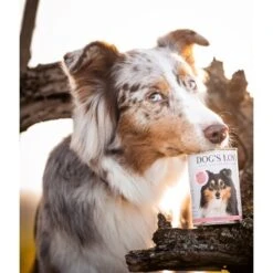 DOG'S LOVE Dog’s Love Adult Hypoallergénique 6 X 400 G -Meilleure Animalerie f9f1fc4aa515eab49cf2248bceb6cc0121fe13fb 1274558 1