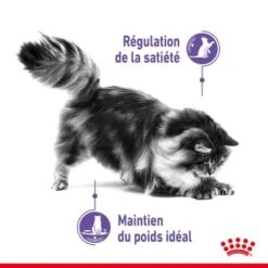 ROYAL CANIN Appetite Control Nourriture Humide Chat 12 X 85 G 13 ROYAL CANIN Appetite Control Nourriture Humide Chat 12 X 85 G -Meilleure Animalerie fa8dc9ffab3ad352328df353a9485bf515ae9605 1344684 fr FR appctrlgravy 2
